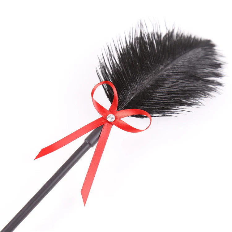 2-in-1 Feather Tickler & Spanking Paddle - Image 2