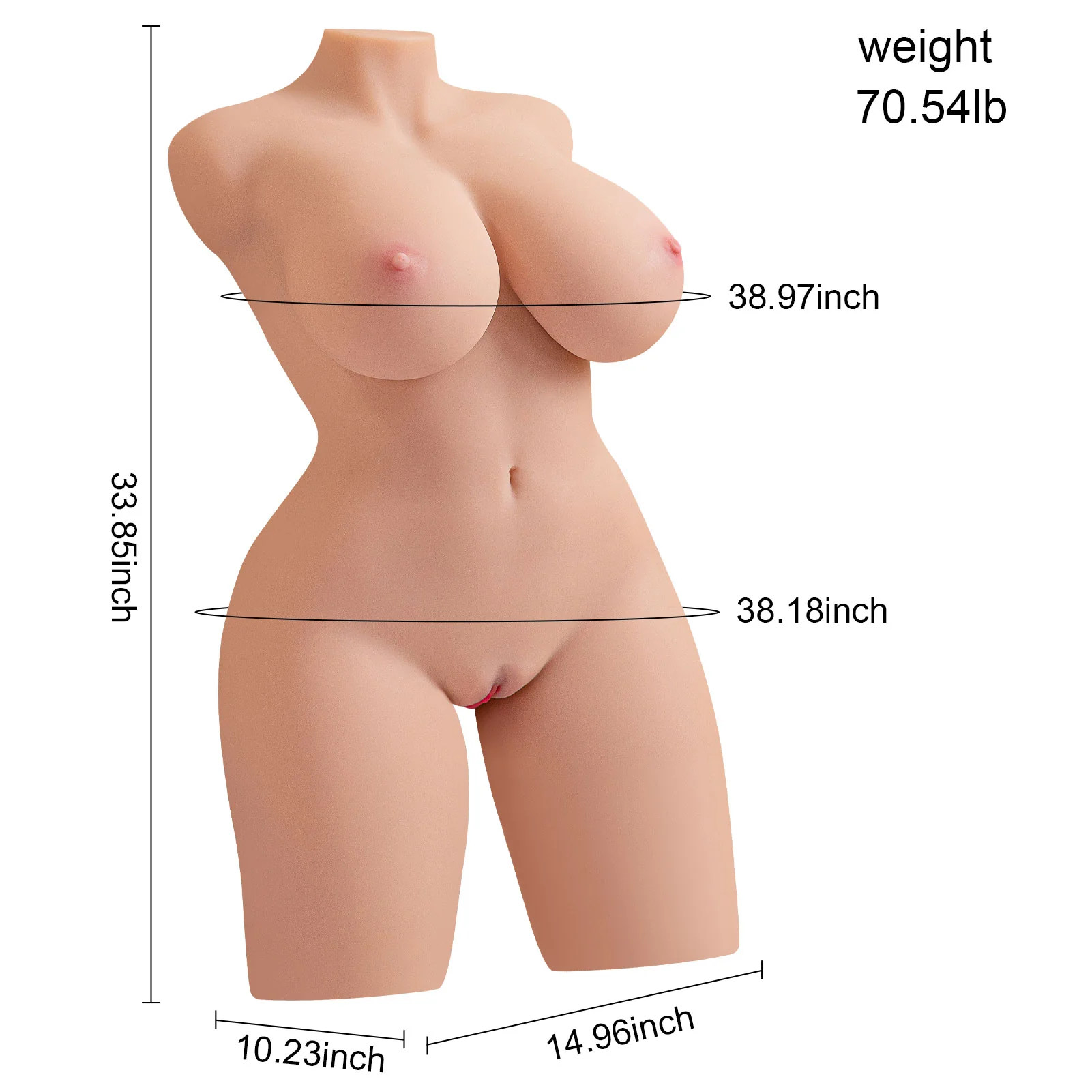 70.9lb Realistic Female Torso - Image 10