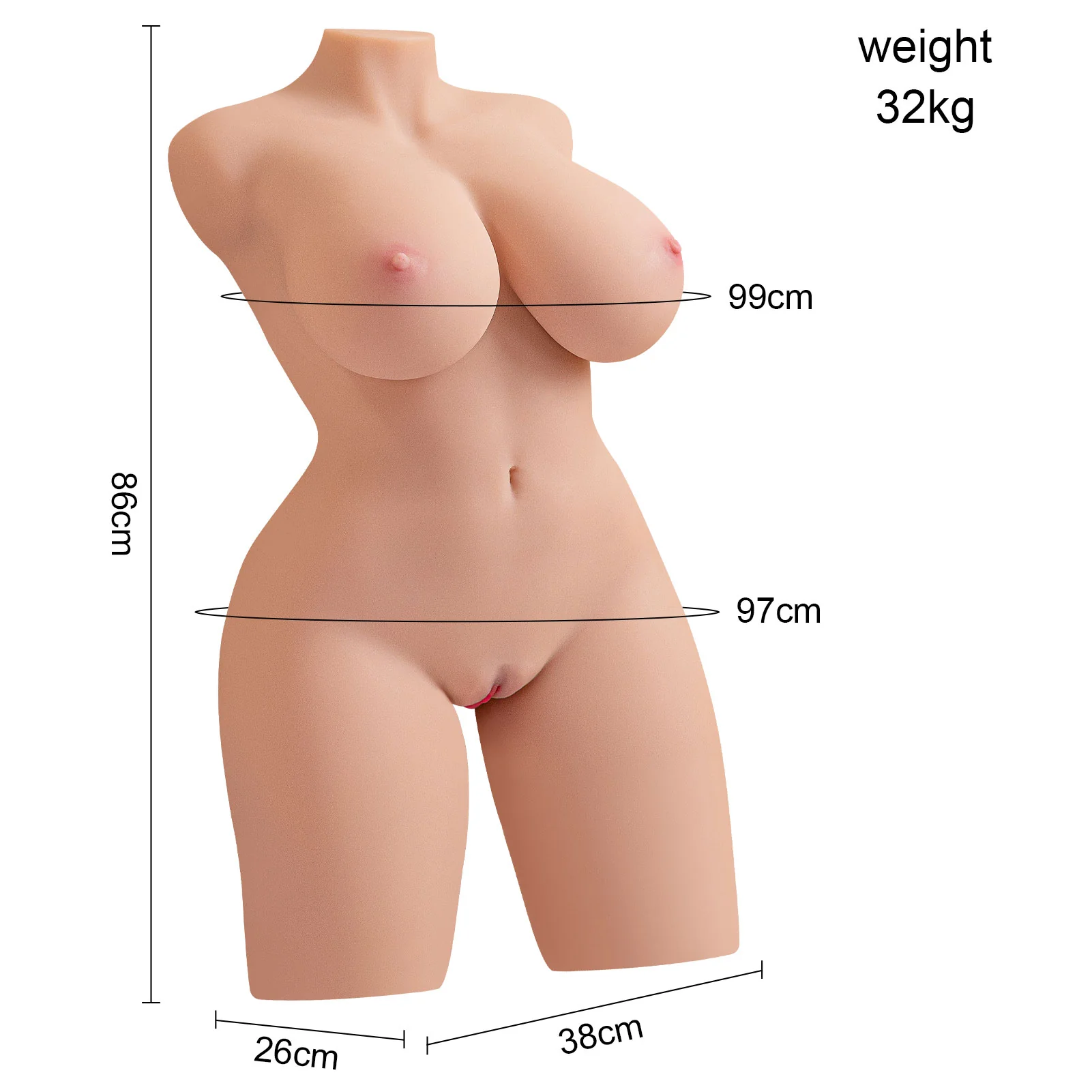 70.9lb Realistic Female Torso - Image 9